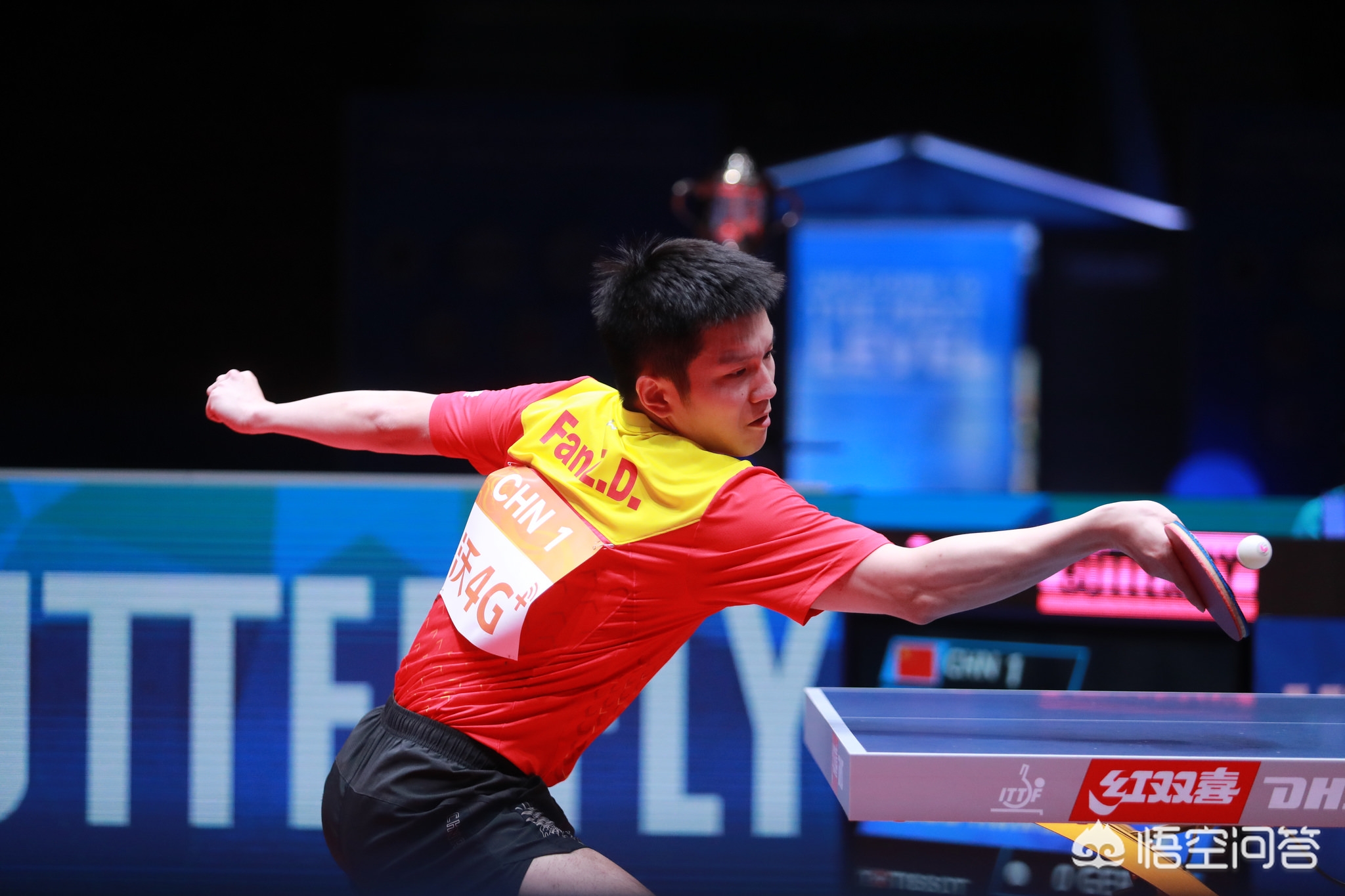 细小绒毛与 细小绒毛与